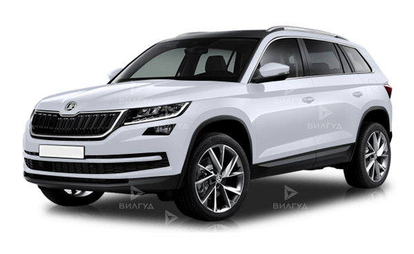 Замена бензинововых двигателей Škoda Kodiaq
