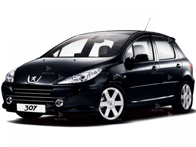 Ремонт автогенератора Peugeot 307